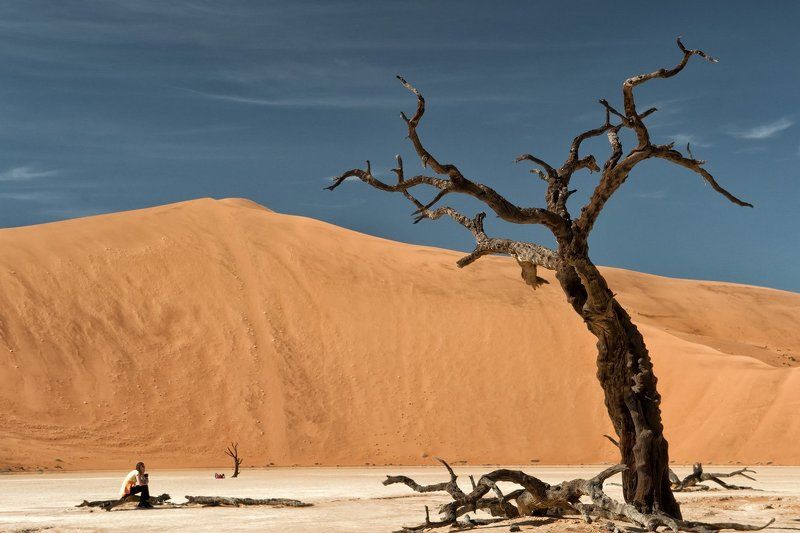 Полдень, XXI векphoto preview