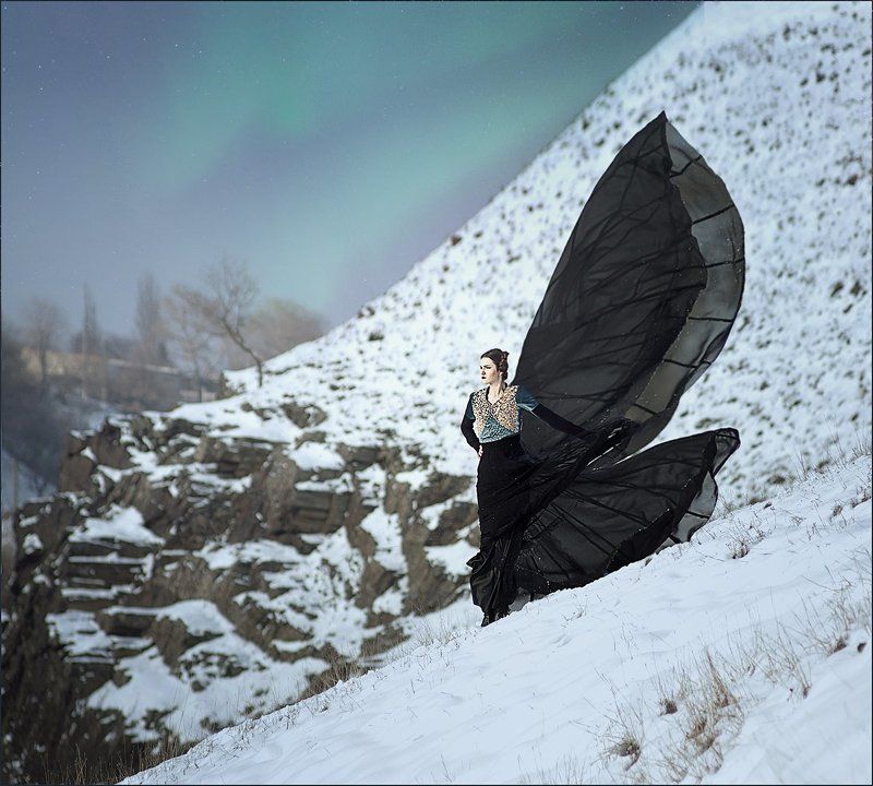 Black Butterflyphoto preview