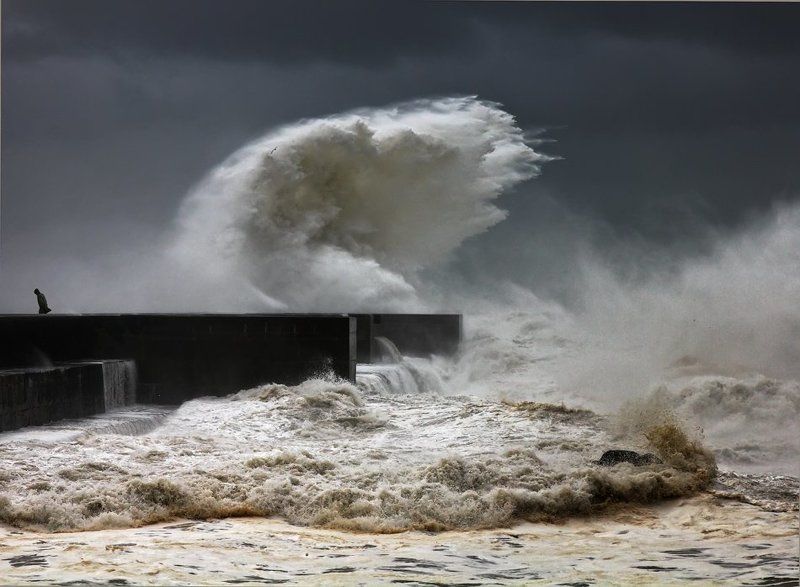 wrong placephoto preview