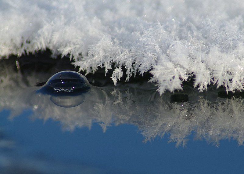 пузырь, болото, иней Пузырекphoto preview