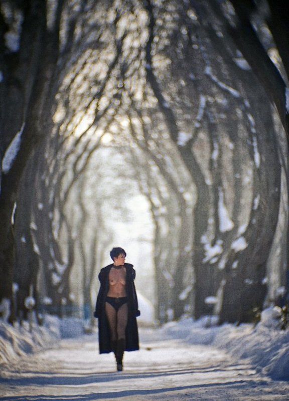 Last februaryphoto preview