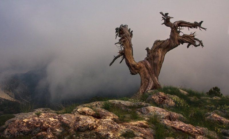 Страж.photo preview