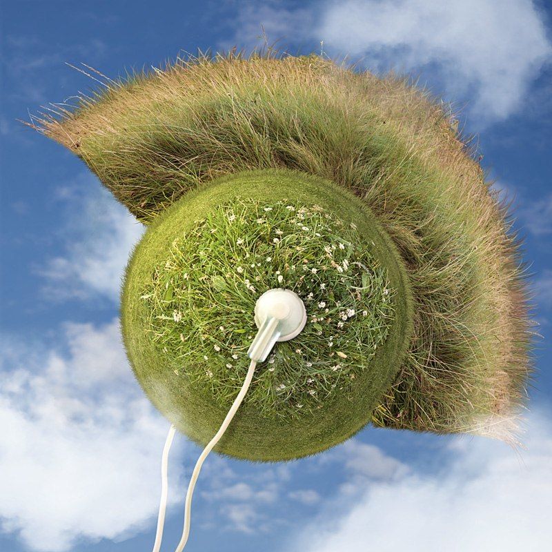 ist das noch Punkrock?photo preview