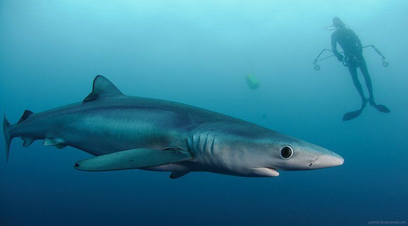 sense of wonderphoto preview