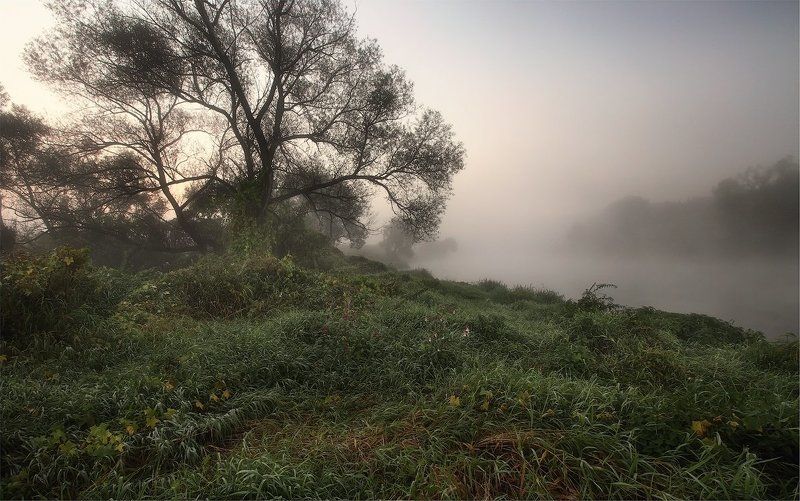 В туманеphoto preview