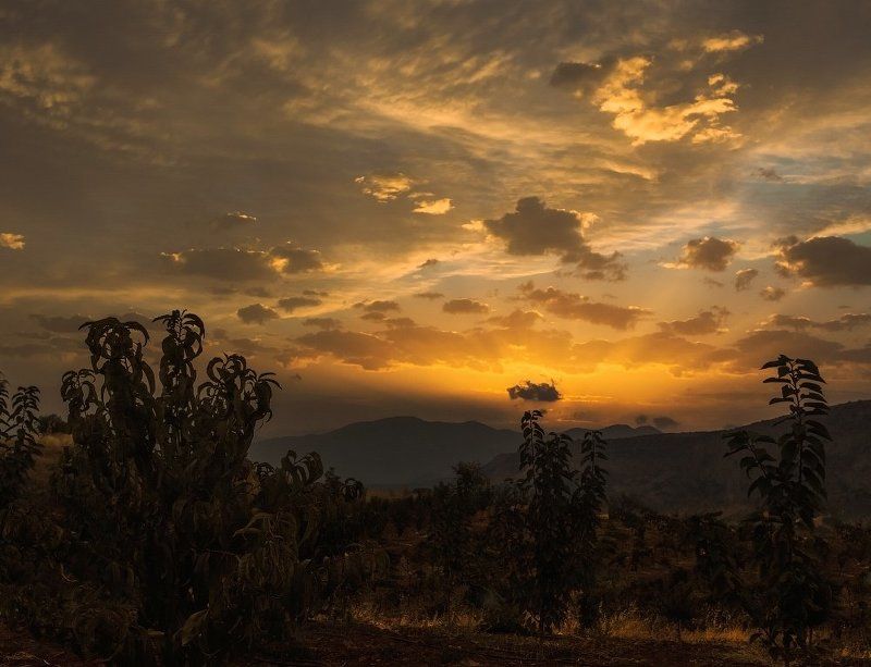 Персиковый рассвет-2.photo preview
