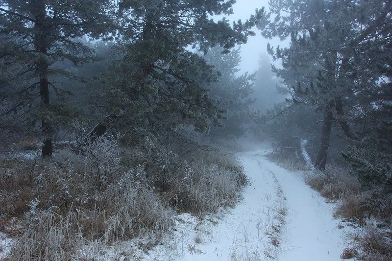 Лесная дорогаphoto preview