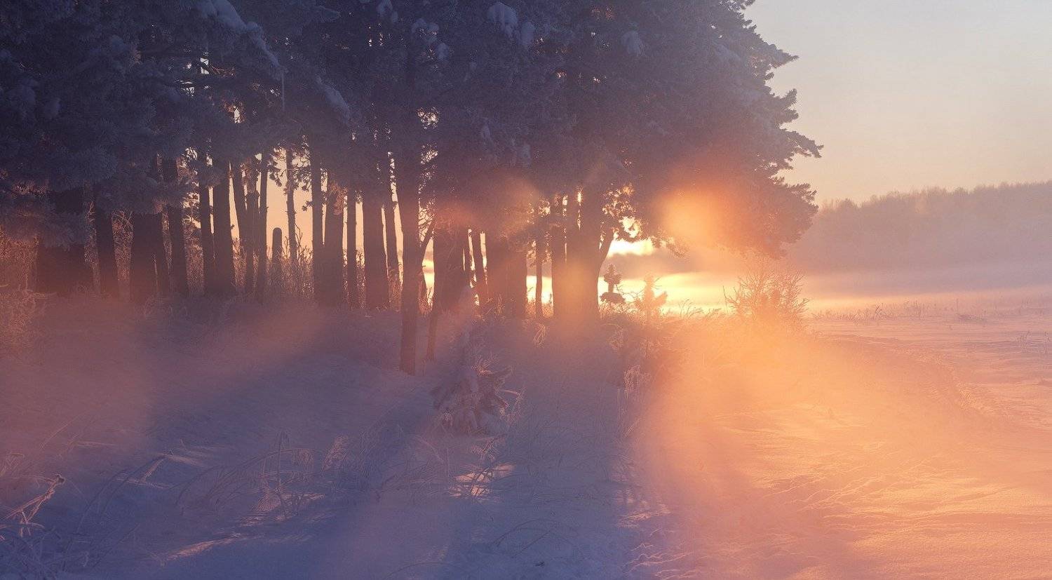 утро, мороз, свислочь, туман, солнце, Алексей Угальников