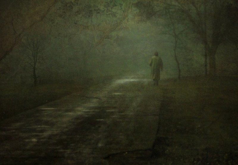 свой путь.......photo preview