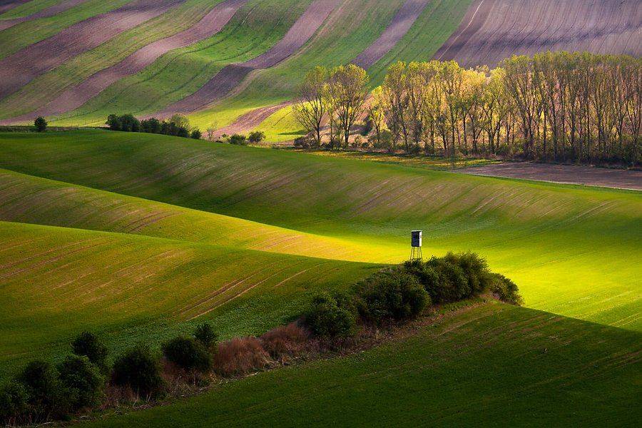 , Dariusz Łyżbicki