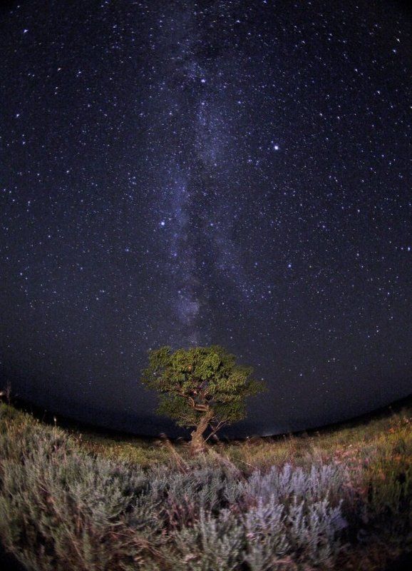 Самая_Главная_Галактикаphoto preview