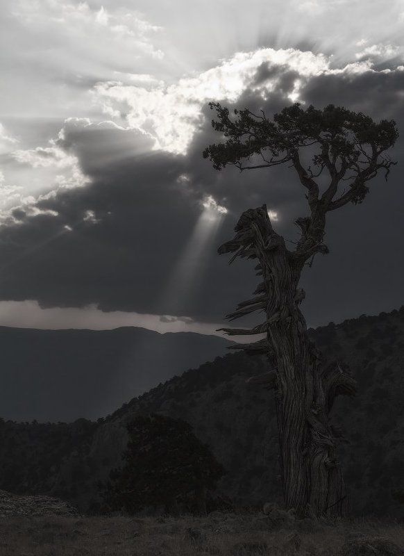 Чудище.photo preview