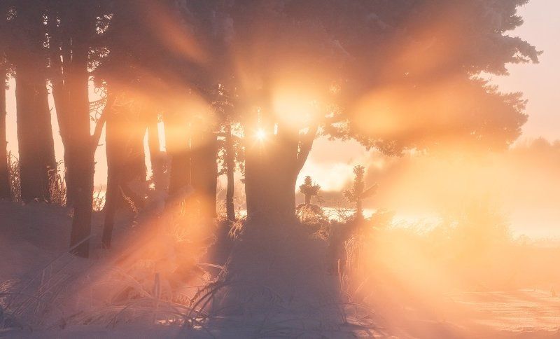 свислочь, утро, мороз, туман Прикоснуться к солнцуphoto preview