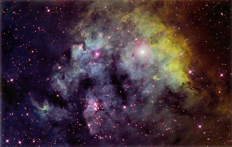 CED 214photo preview