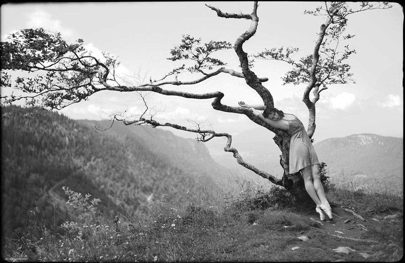 On the vergephoto preview