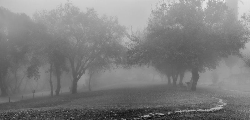 Туманное  утроphoto preview