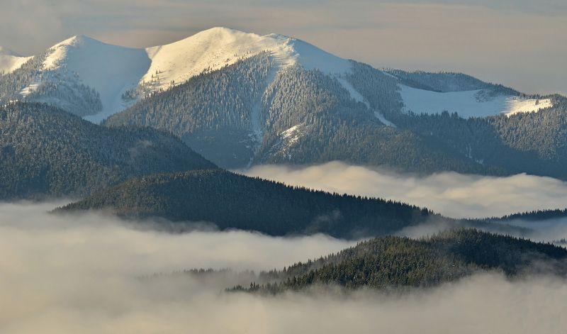 гори, туман, зима, карпати photo preview