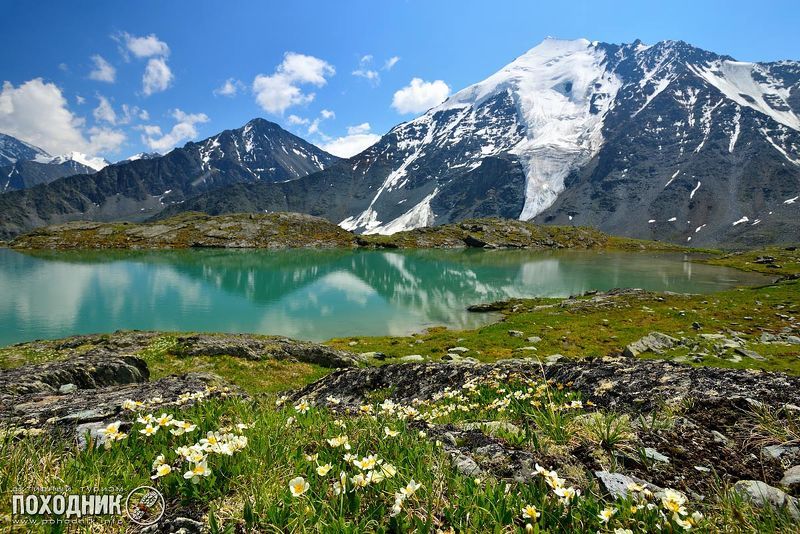 Цветущий Алтайphoto preview