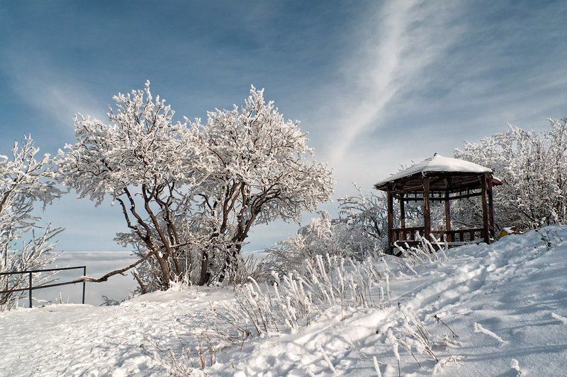 Vitoshaphoto preview