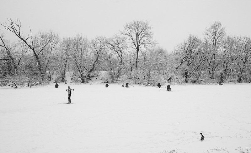 Утка, лыжник и рыбаки.photo preview