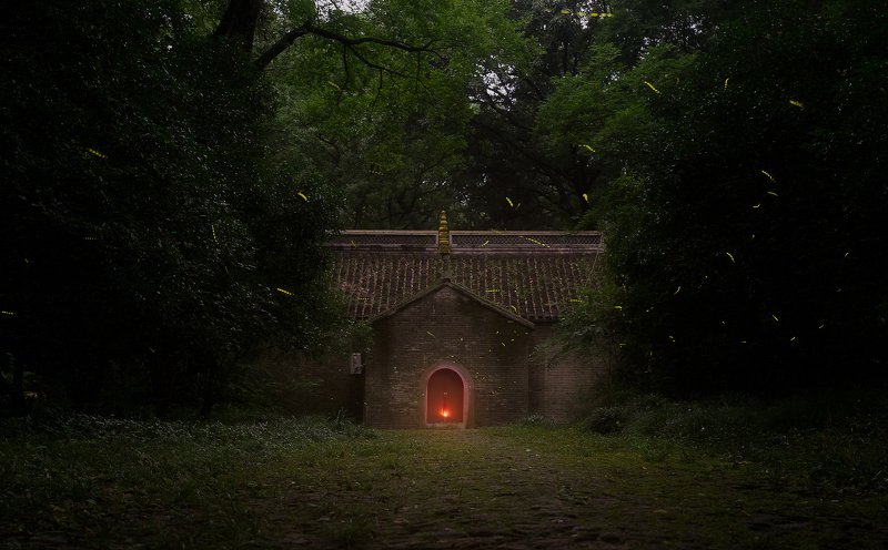 #fireflies#night#long exposure#temple June fireflyphoto preview