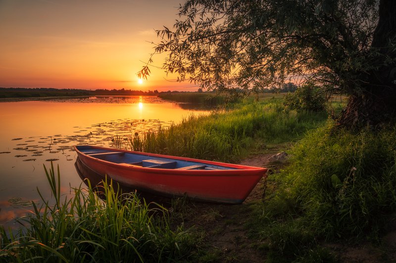 bug, river, boat, sunrise, sun, tree, water, landscape, nature, morning,  Bug River Valleyphoto preview