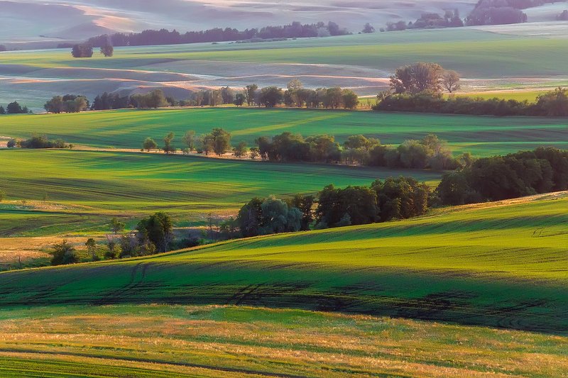 утро, рассвет, восход, туман, лучи Диагоналиphoto preview