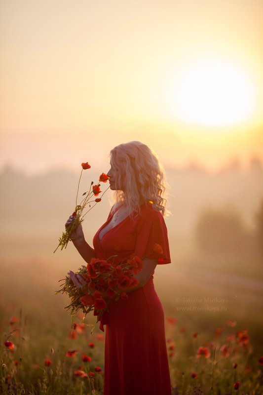 фотосессия девушки, девушка с маками, фотосессия в маковом поле, фотосессия в маках, маки, красные маки, рассвет Маковый рассветphoto preview