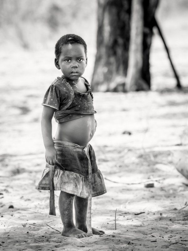 BUSZMENKA Z KALAHARIphoto preview