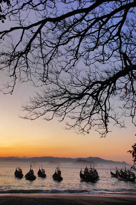 Morning day photo preview