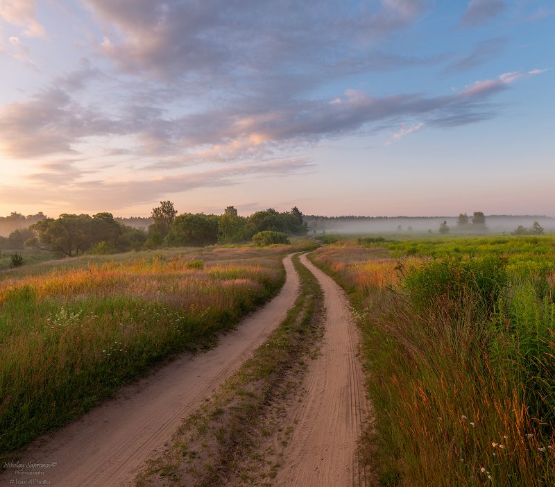 дорога, грунтовка, сельская дорога, средняя полоса, утро, туман, перспектива, луга \