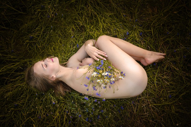 девушка, лето, цветы, васильки, поле, вечер, ню, обнаженный, кожа, свет Рождение летаphoto preview