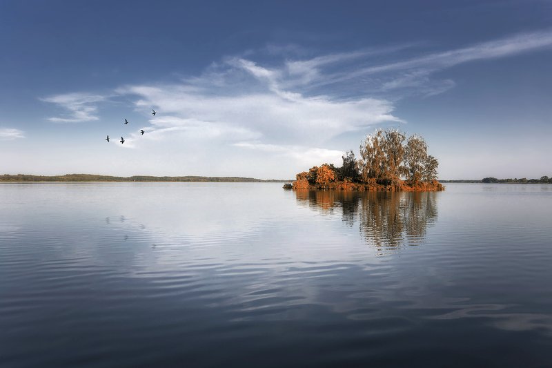 lake, poland, island, trees, minimalism, birds, spring, sky Island on the lakephoto preview