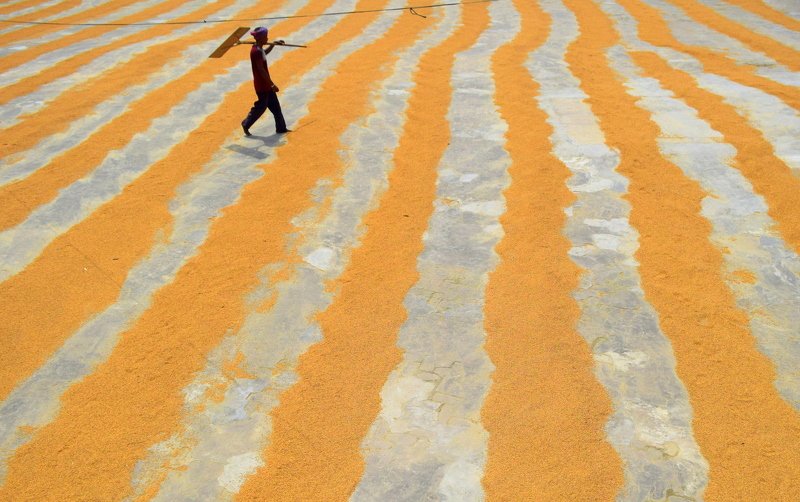 #lifestyle #yellow #pattern #worker #bangladesh Pavilion worker.photo preview