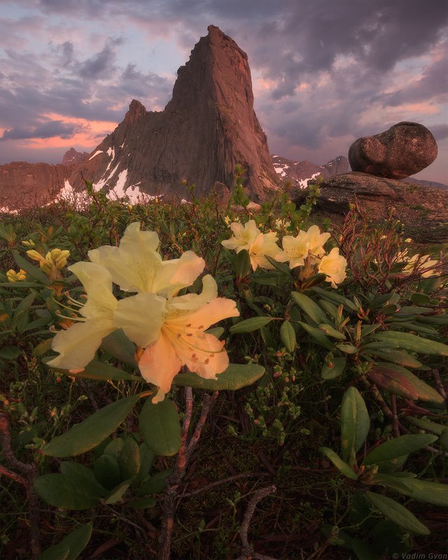 ергаки Спящий Саянphoto preview