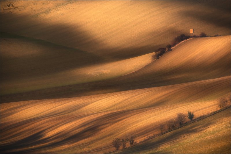 Чехия, Южная Моравия, осень, тени, свет, сельский пейзаж, Czech, Czech Republic, South Moravia, autumn, фототур в Южную Моравию,phototravel.pro Ускользающие тени ..photo preview