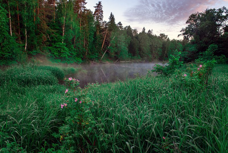 На рассветеphoto preview