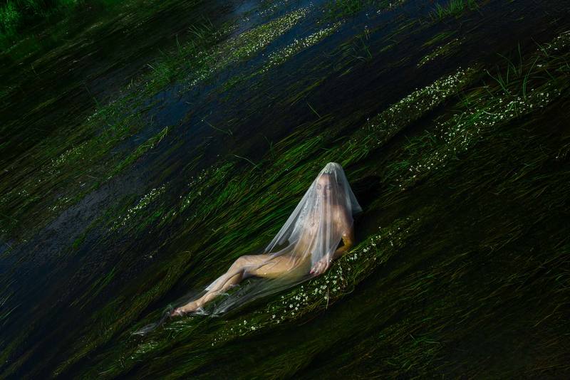 Against the Flowphoto preview