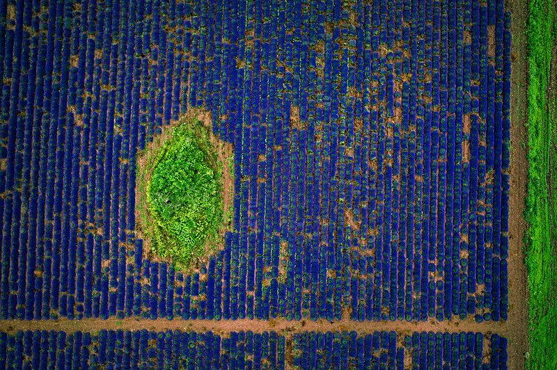 Ребусphoto preview