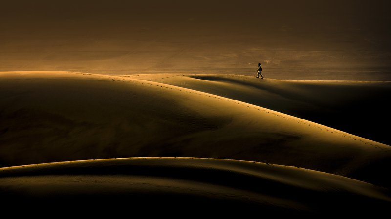 landscape Walk in Desert IIphoto preview