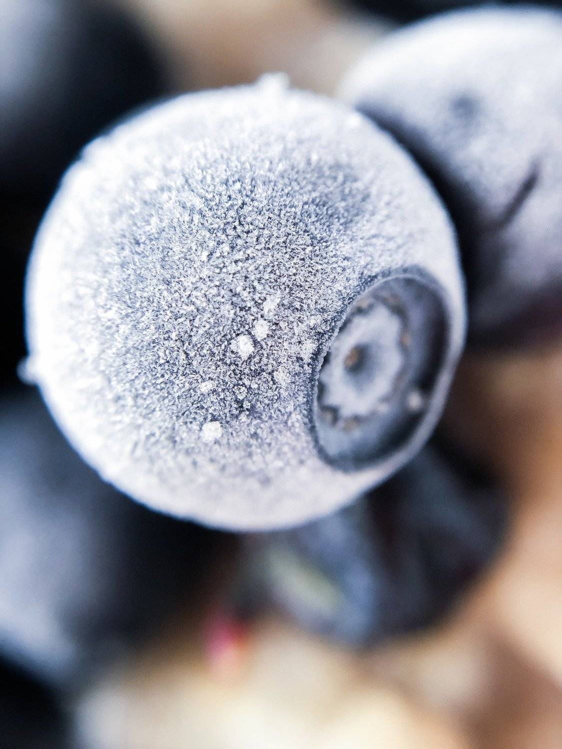 Fresh. Автор: Вероника Денисова , Вероника Денисова