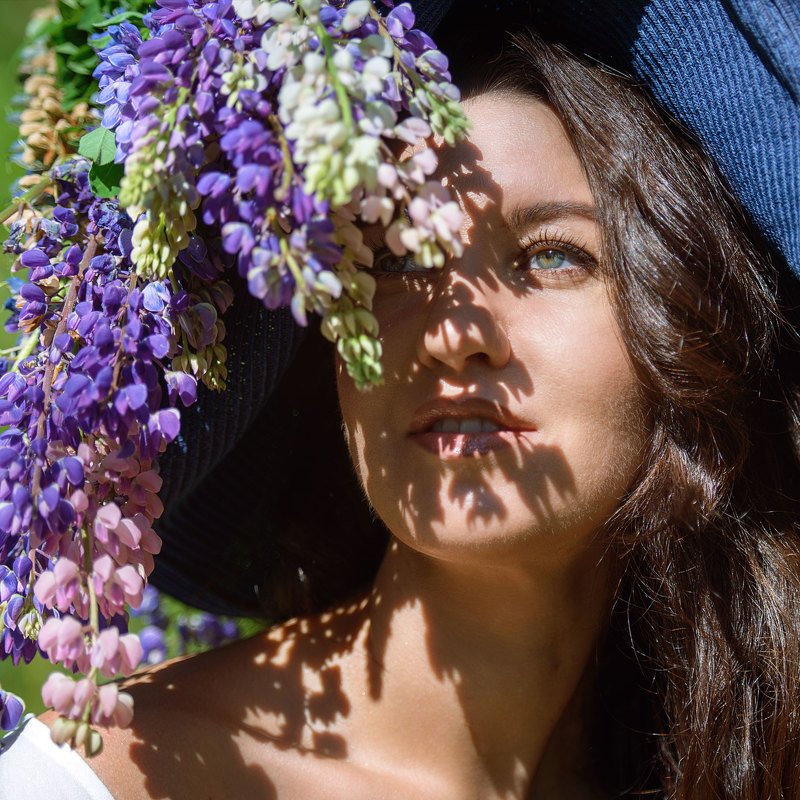 В люпинахphoto preview