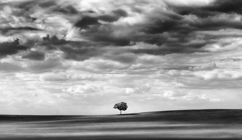 К югу от границы, к западу от солнцаphoto preview