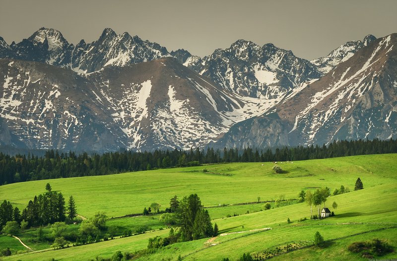 #landscape #panoramic #photo #nikon #poland #adventure #day #mountains #snow #tree #meadow #field White Chapelphoto preview