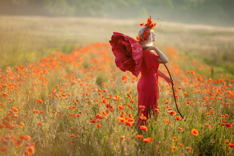 фотосессия девушки, девушка с маками, фотосессия в маковом поле, фотосессия в маках, маки, большой мак, красные маки, рассвет Макиphoto preview