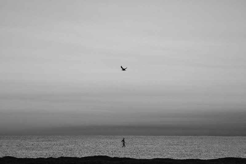 blackandwhite the freedomphoto preview