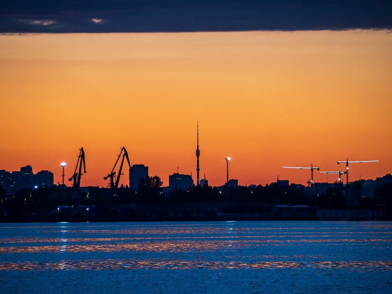 На игле.photo preview