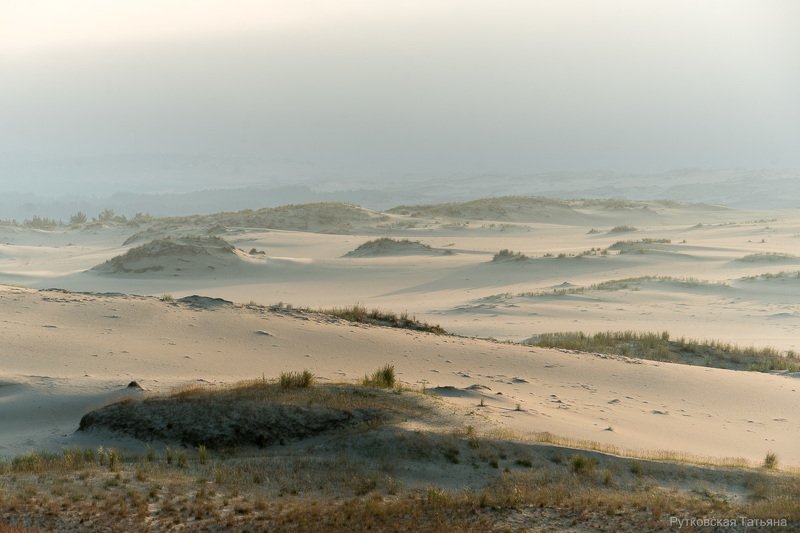 Дюнностьphoto preview