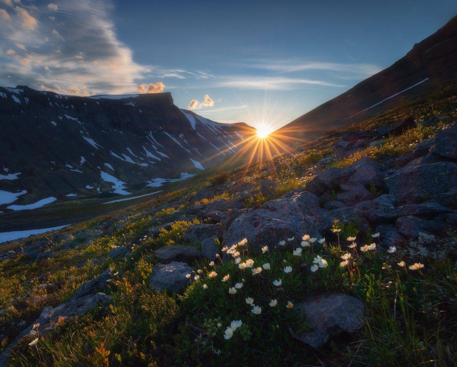 Хибины на закате. Автор: Виталий Истомин пейзаж,хибины,лето,кольский,север,цветы,солнце,свет,горы, Виталий Истомин
