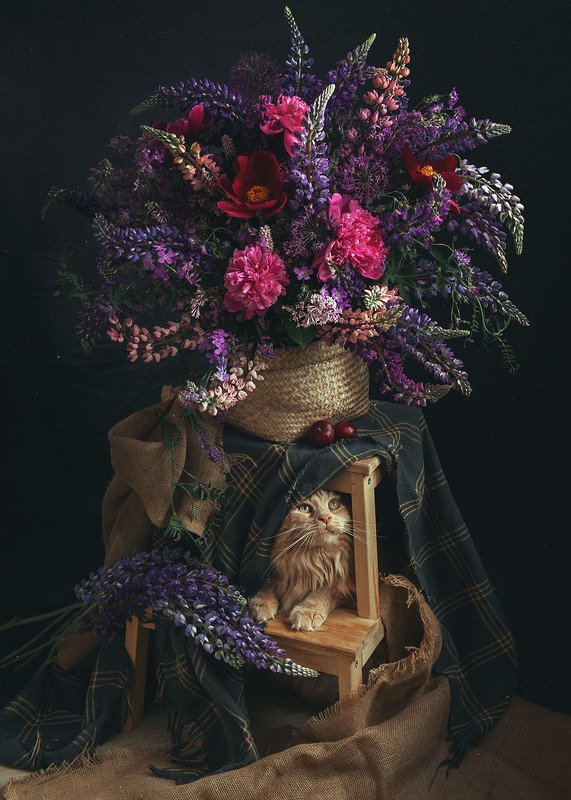 букет, натюрморт, кот, пионы, люпины Букетphoto preview